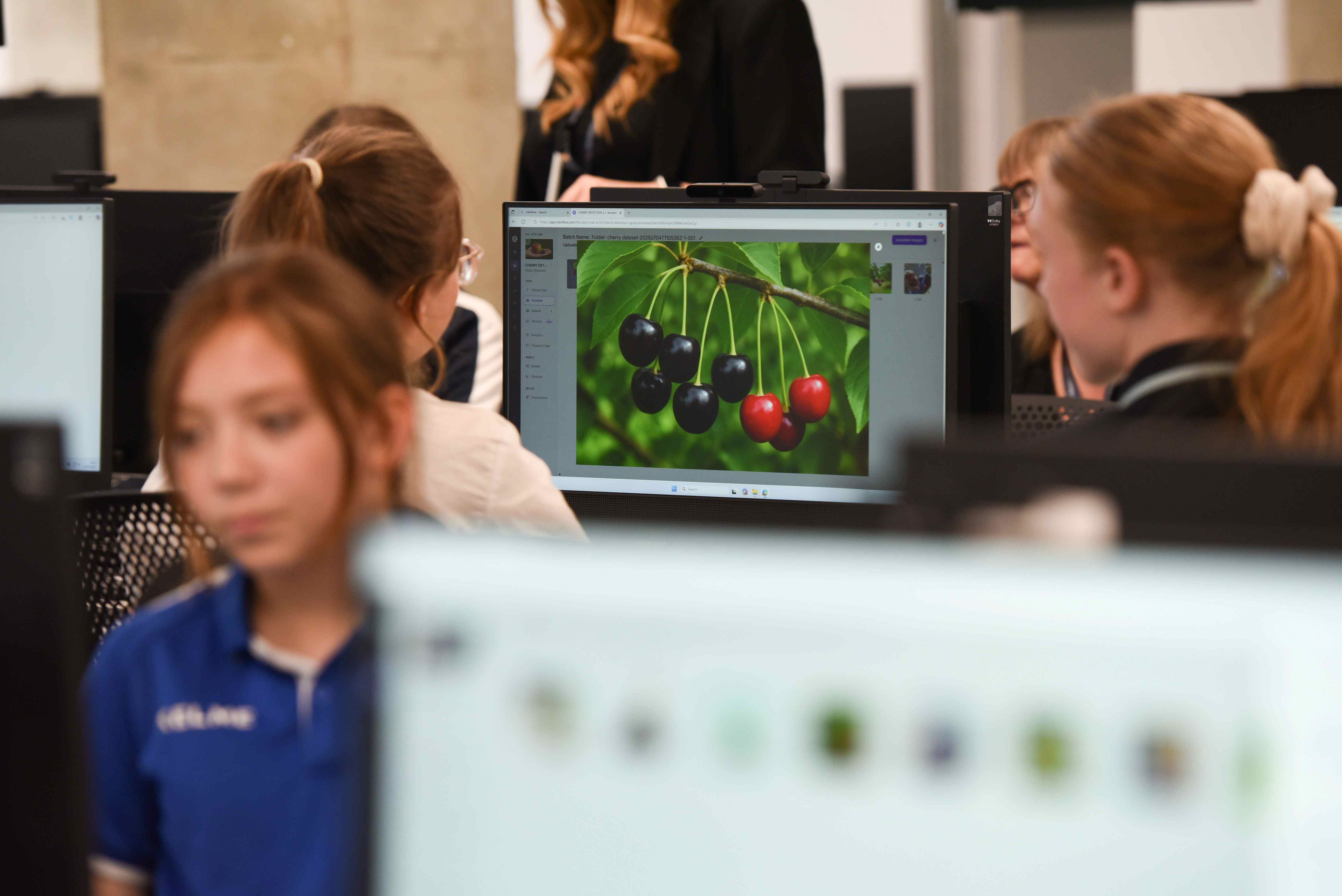 Secondary school students looking at a computer screen showing black and red cherries.