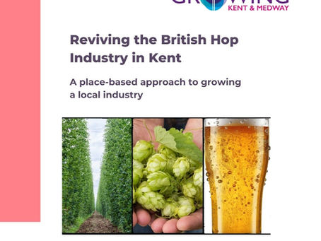 Cover of Reviving Hop Industry report with image of hop plants, hop cones and a pint of beer