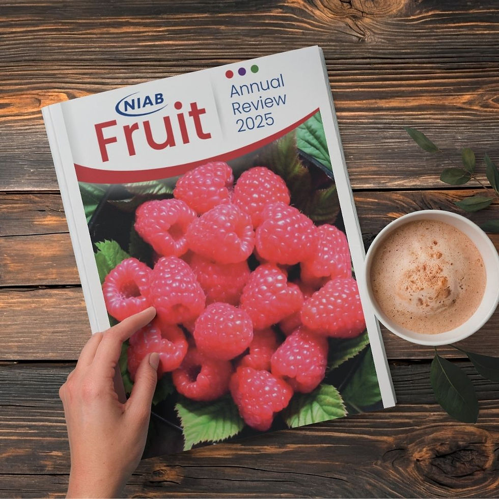 A copy of the Niab Annual Fruit Review magazine 2025 on a dark wooden table with a cup of coffee. The magazine has raspberries on the cover.