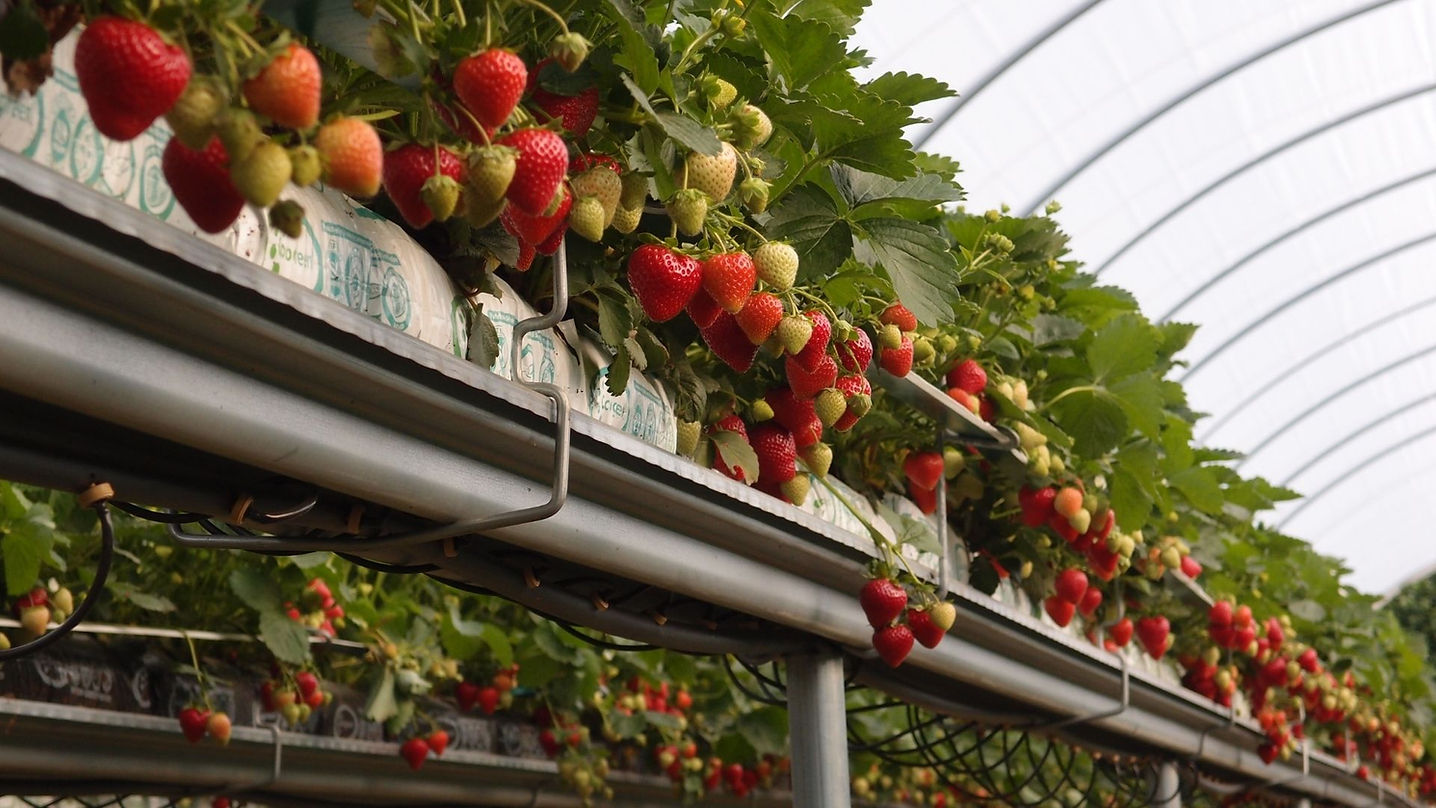 website images feb 26 (5).jpg