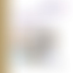 A white report cover with six square images of harvested mushrooms, make-up, mushrooms growing from spent distillers grain, medicine, and a large fermentation tank.