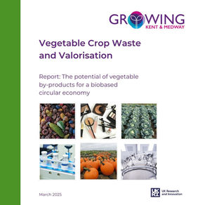 A white report cover with six square images of mixed waste vegetables, make-up, a field of cabbages, medicine, a field of pumpkins and a large processing tank
