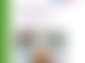 A white report cover with six square images of mixed waste vegetables, make-up, a field of cabbages, medicine, a field of pumpkins and a large processing tank