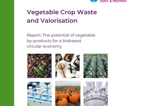 A white report cover with six square images of mixed waste vegetables, make-up, a field of cabbages, medicine, a field of pumpkins and a large processing tank