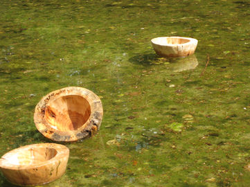  Kunst - Installation von Wolf Münninghoff, Holz - Schalen schwimmen im Wasser