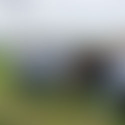 Nine staff from Deep Planet, mainly wearing grey branded hoodies, stand in a field with hills in the background