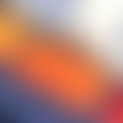 Yellow and red raspberries in clear containers on a blue tablecloth. White mesh cover partially visible in the background.