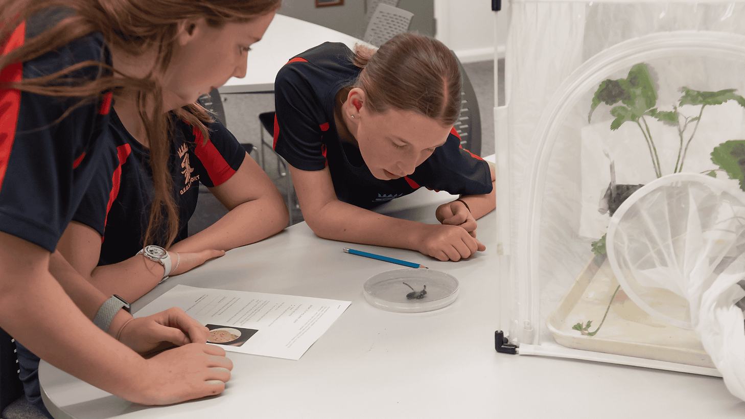 website images feb 26 (25).png