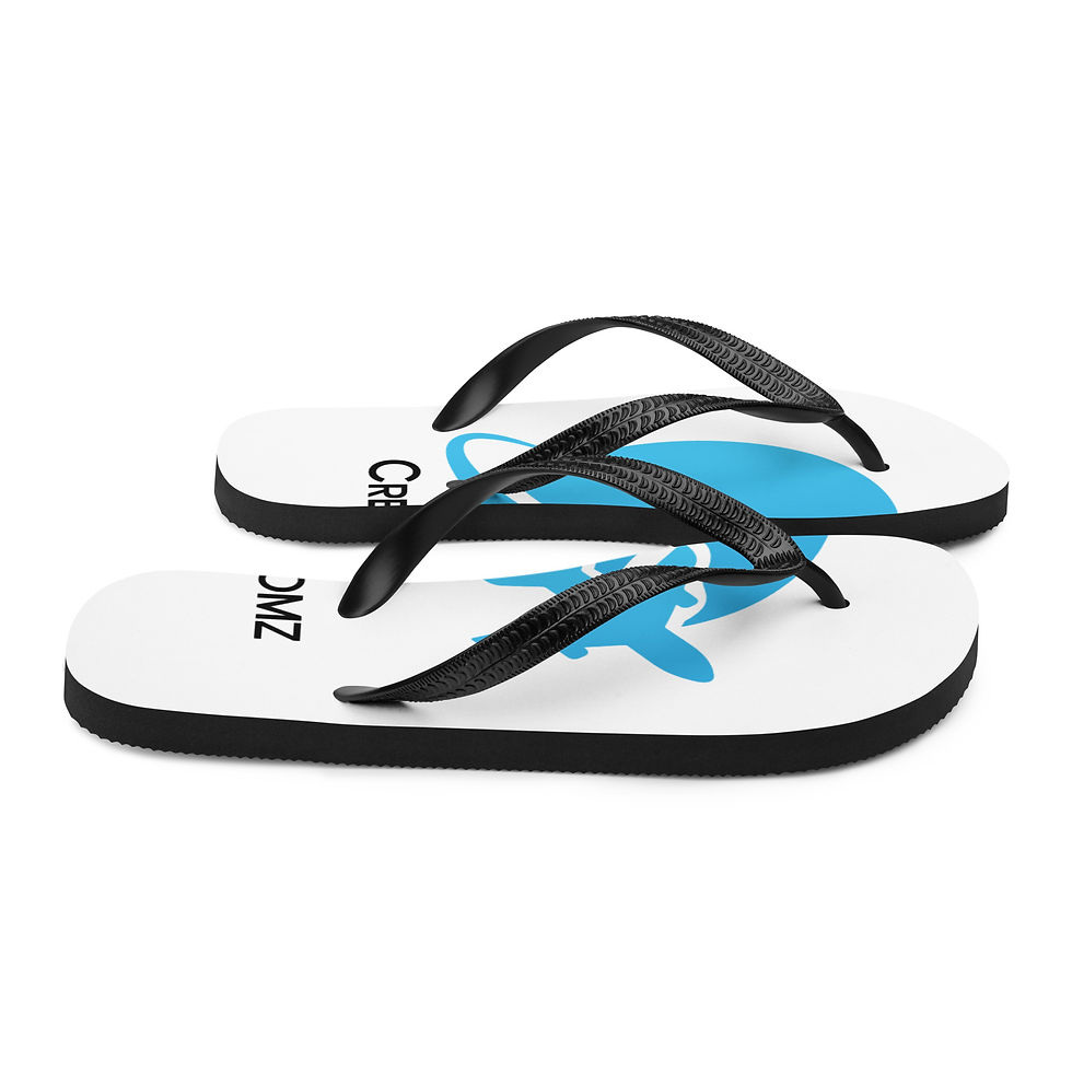 Thumbnail: Flip-Flops
