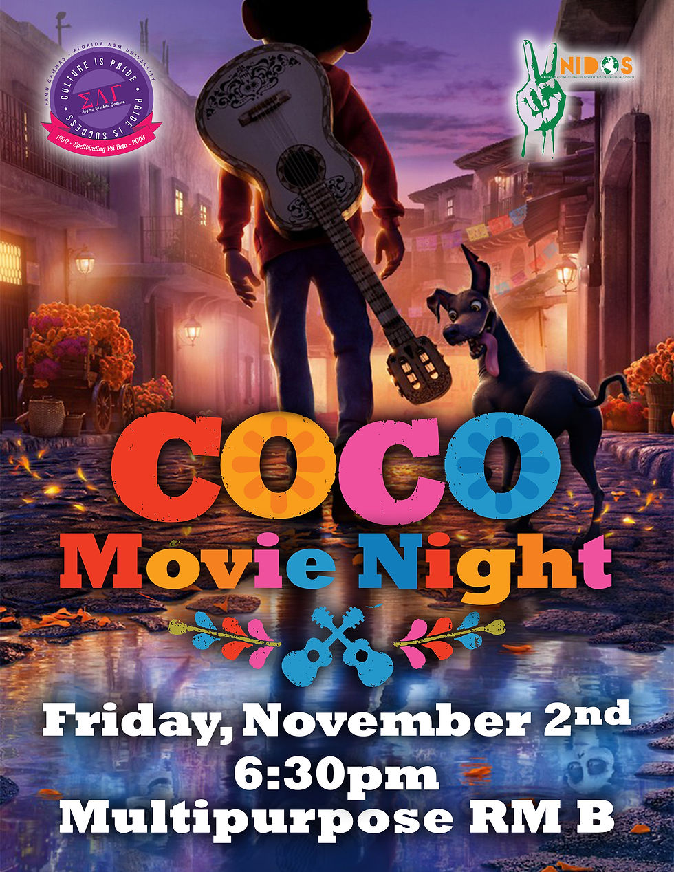 Coco Movie Night