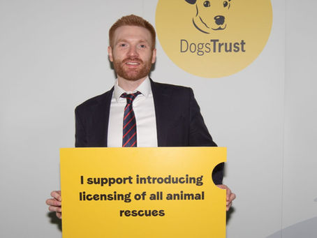 Hosting Dogs Trust in Parliament