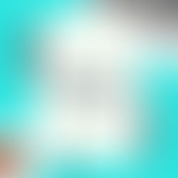 Balance 2018 y últimas novedades