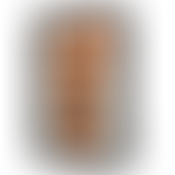 Títulos juveniles para armar la biblioteca de verano