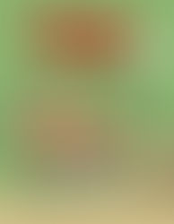 Para chicos y no tan chicos