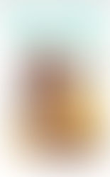 Novedades editoriales