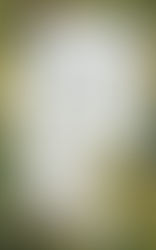 Reescribir clásicos en busca de nuevas heroínas