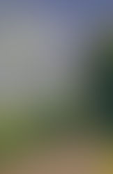 #Anuario2019: Mejores comentarios (parte I)