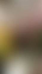 Agendalo para la semana