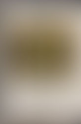 Nuestros lectores recomiendan...