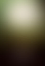 Clásicos, cuentos góticos y dramas contemporáneos