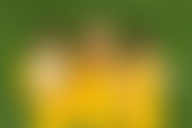 Agendalo para el finde