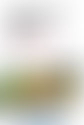 "Mujeres que compran flores": Micromundos femeninos envueltos en ramilletes