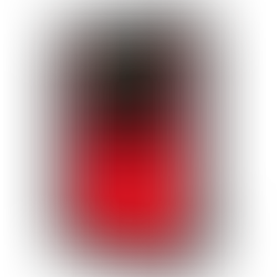 Novedades editoriales