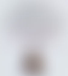 Comentario de “El secreto de Gray Mountain” de John Grisham