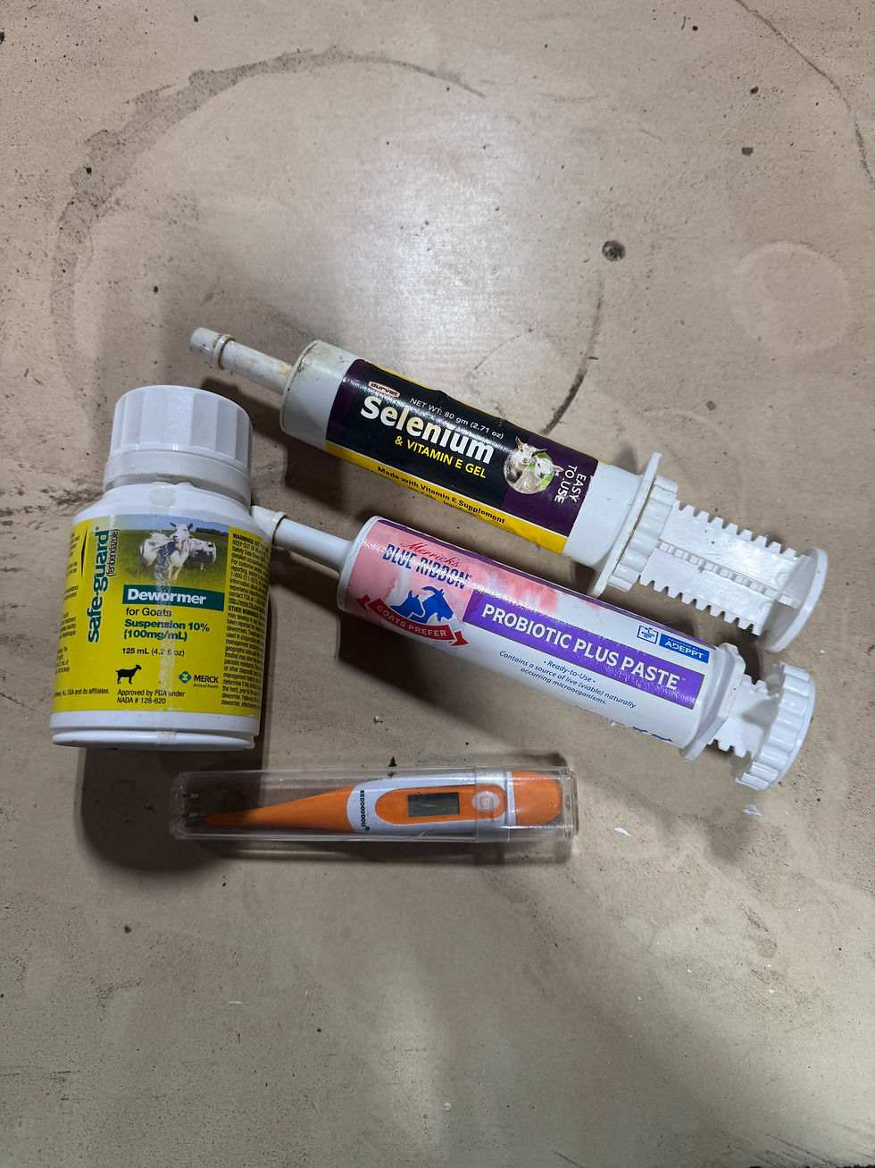 Animal care products on a wooden surface: dewormer, Selenium gel, probiotic paste, and an orange digital thermometer.