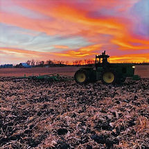 Harvesting crops in a field at sunset