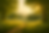 ChatGPT Image May 22, 2025, 04_00_06 PM.png
