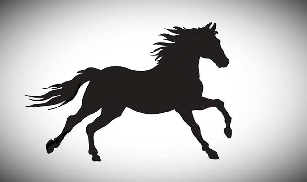 %23221F1F_Colorcode_morehigherwider___ed