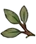 HOJAS ARBOL_edited_edited.png