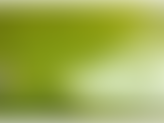 Những loại thuốc bảo vệ thực vật bị cấm sử dụng tại Việt Nam từ 1/2025