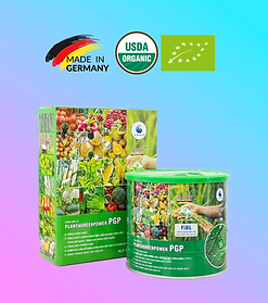 Anh web PGP_edited.png