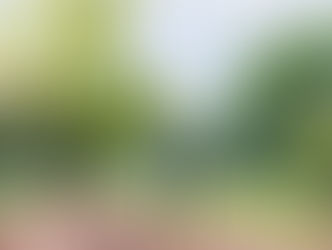 Kỹ thuật tưới nước cho cây sầu riêng qua từng giai đoạn.