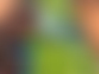 Phòng tránh sâu bệnh cho rau màu mùa nồm ẩm kéo dài.