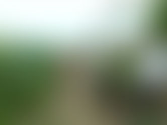 Hiệu quả kinh tế tuần hoàn trong sản xuất bắp