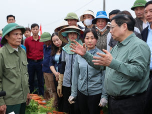 Thủ tướng xuống đồng cùng nông dân, động viên sản xuất nông nghiệp tại Hải Dương