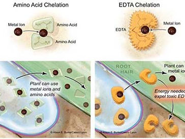 Chelate