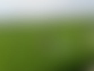 Kỹ thuật bón đón đòng cho lúa đúng thời điểm với phân bón lá PGP