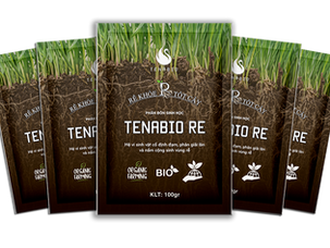PHÂN BÓN SINH HỌC TENABIO RE - NẤM RỄ CỘNG SINH MYCORRHIZAE