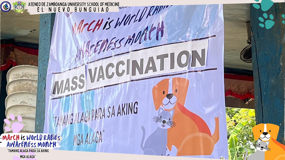 Anti-Rabies Mass Vaccination