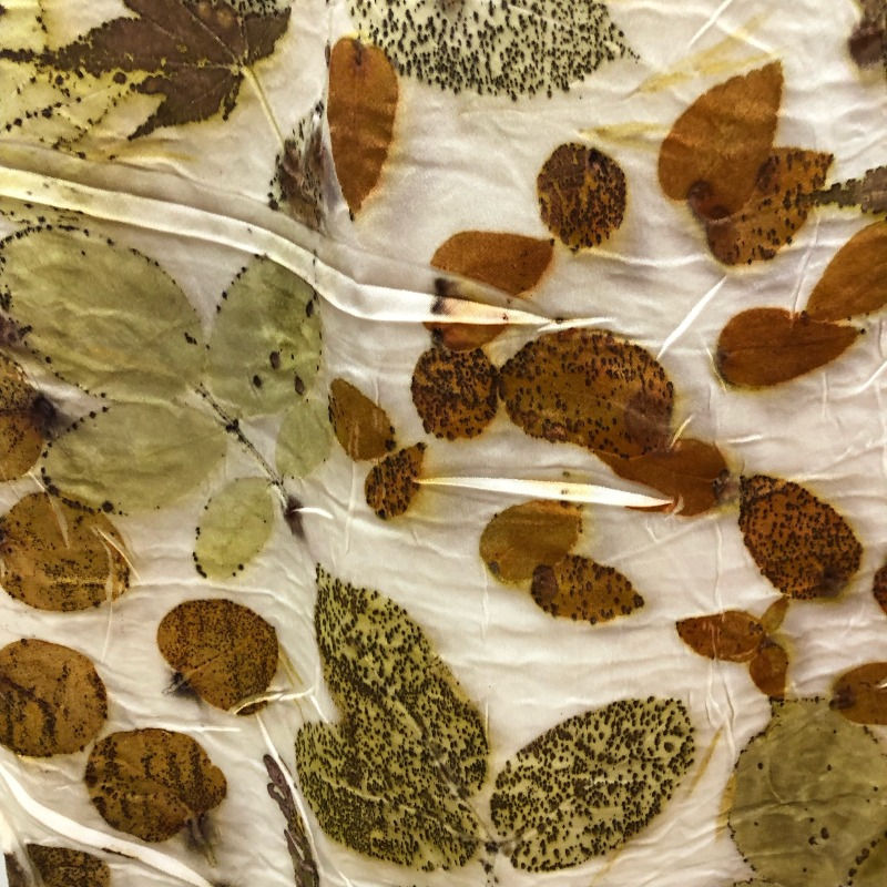 prints of leaves on fabric