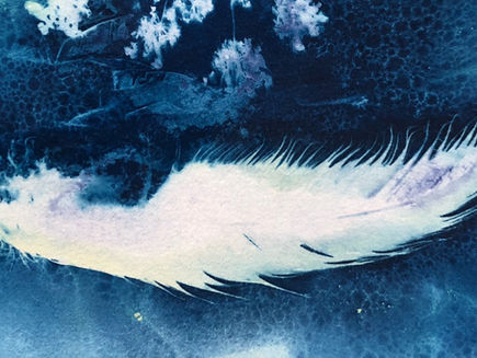 Start Singing The Cyanotype Blues!