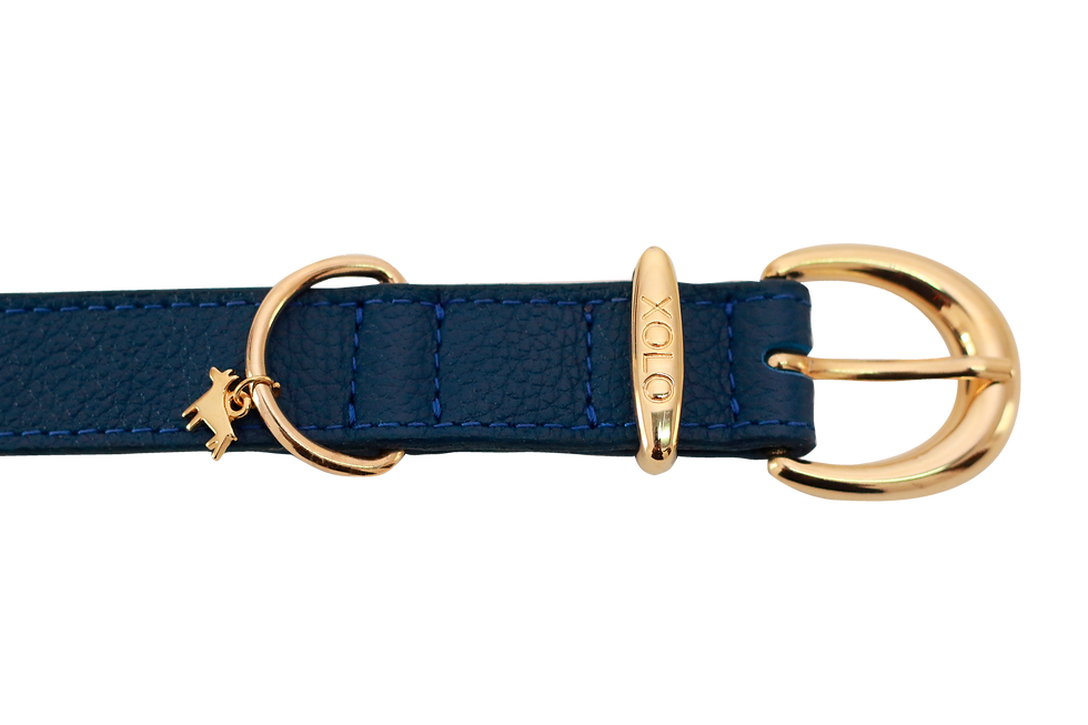 detalle collar de piel auténtica azul para perro