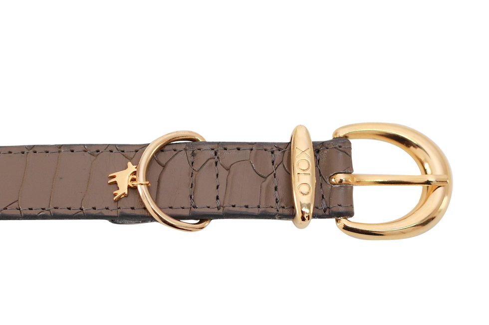 detalle collar de piel de cocodrilo para perro