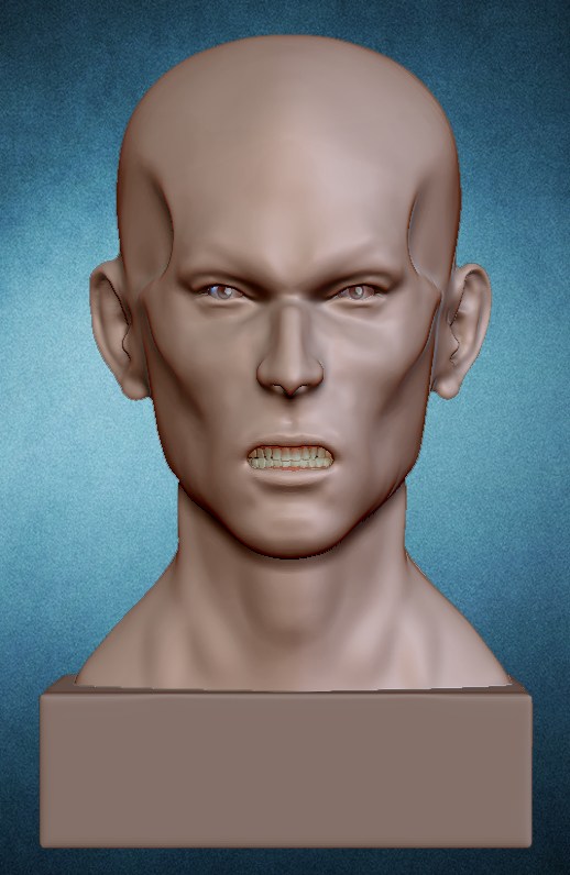 Busto