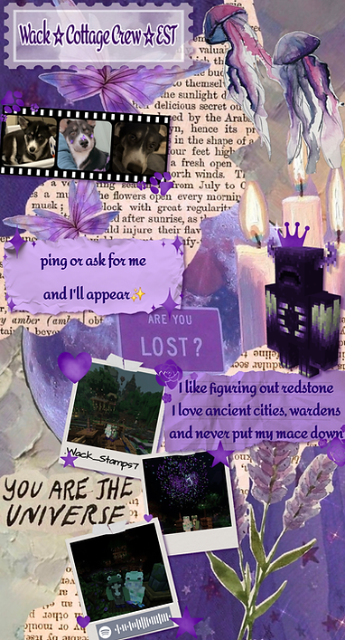 image-46.png