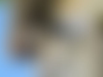 Ubiquiti UniFi G6 Turret